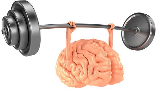 Brain 